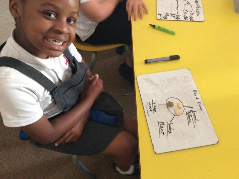 Looking at seeds