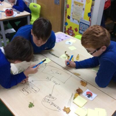 Animal food chains
