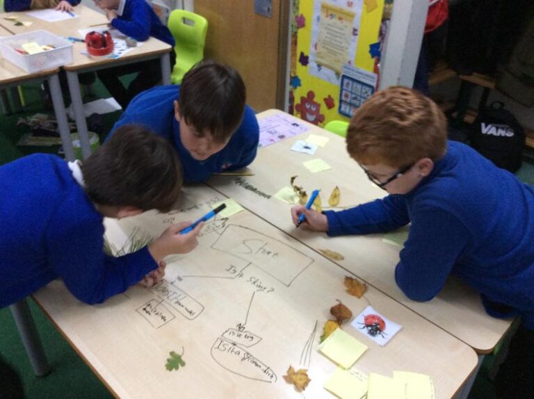 Animal food chains